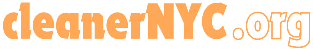 logo cleanerNYC hero page